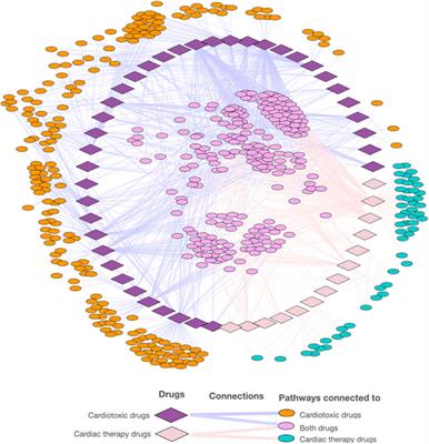 Path4Drug: Data Science Workflow for Identification of Tissue-Specific Biological Pathways Modulated by Toxic Drugs